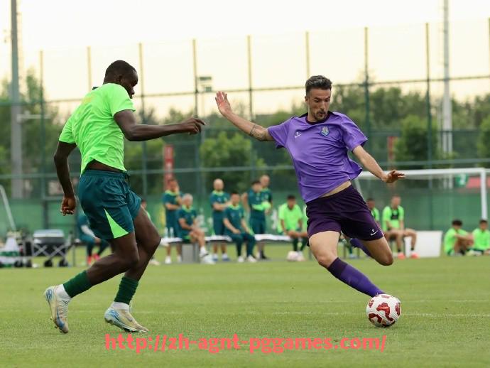 pg电子在线下载-法甲外援市场热度变化及投资价值分析