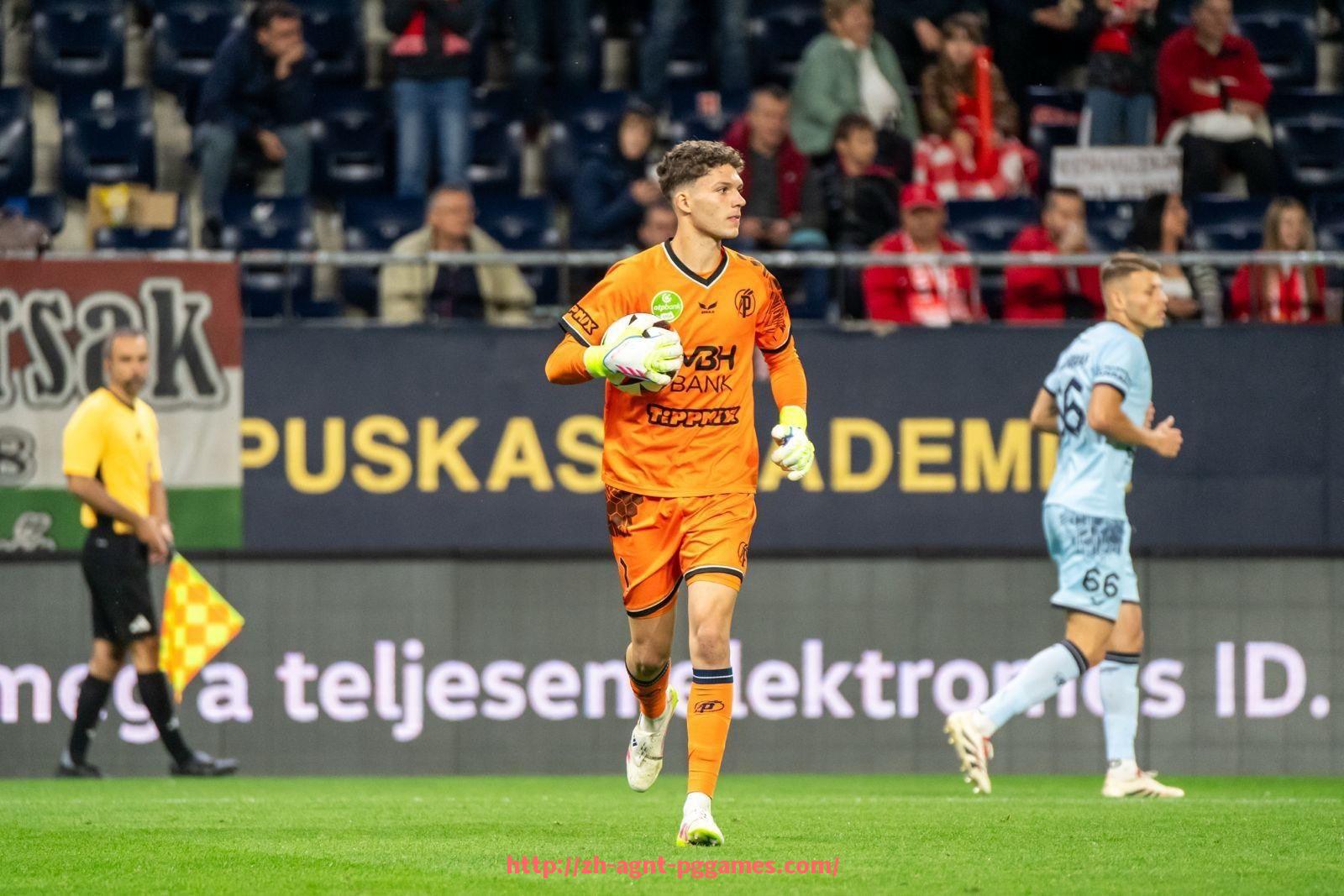 pg电子在线下载-世俱杯比赛中球员传球线路多样性与组织战术灵活度探讨